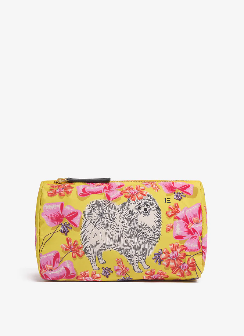 Case S Toutou